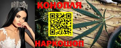 крисы Малоярославец