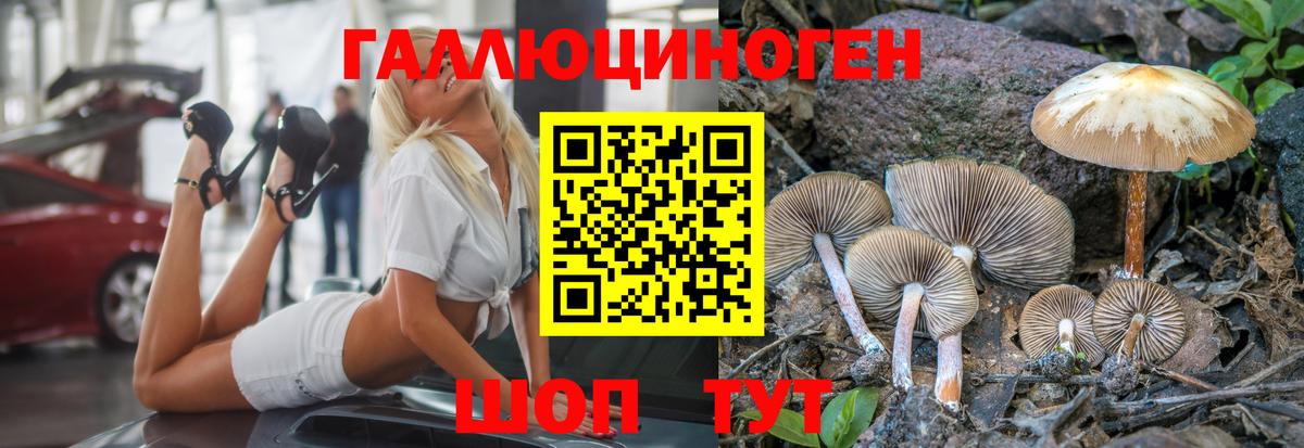 Гатчина  Псилоцибиновые грибы GOLDEN TEACHER  Галлюциногенные грибы Magic Shrooms  Вход с VPN 