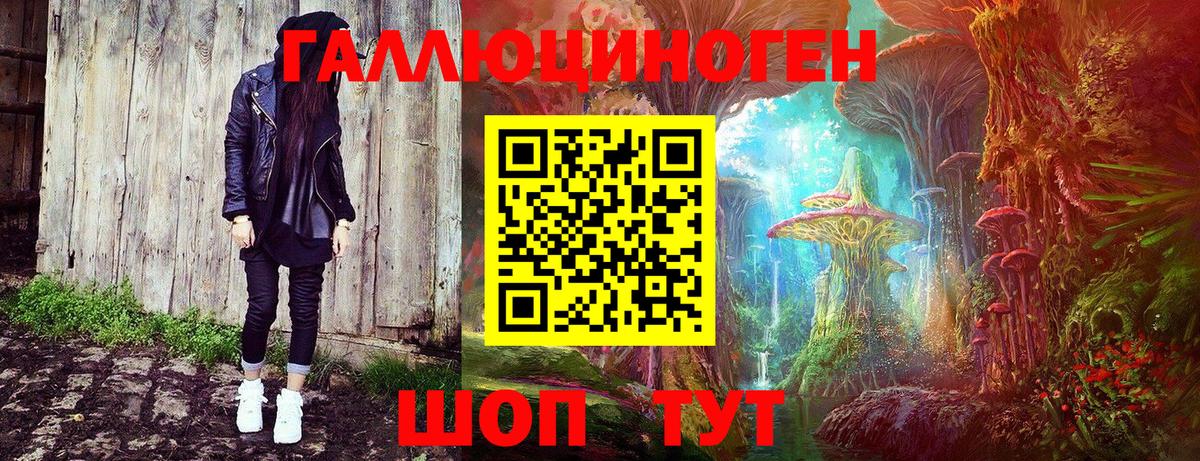 Псилоцибиновые грибы прущие грибы Гатчина