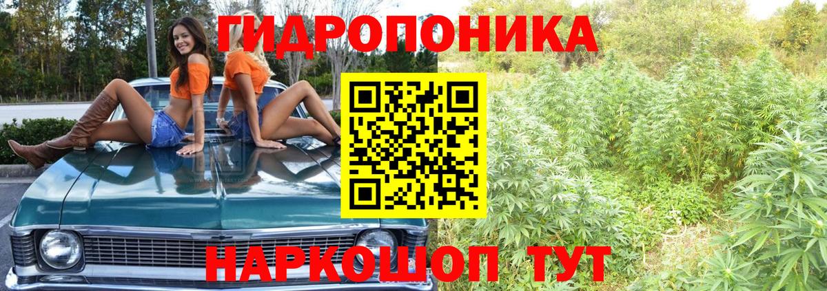 Бошки Шишки AK-47  Бошки Шишки Ganja  Гатчина  Конопля семена  Бошки Шишки OG Kush  Вход с VPN 